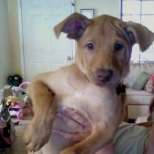 Meet your Posher, Nissim